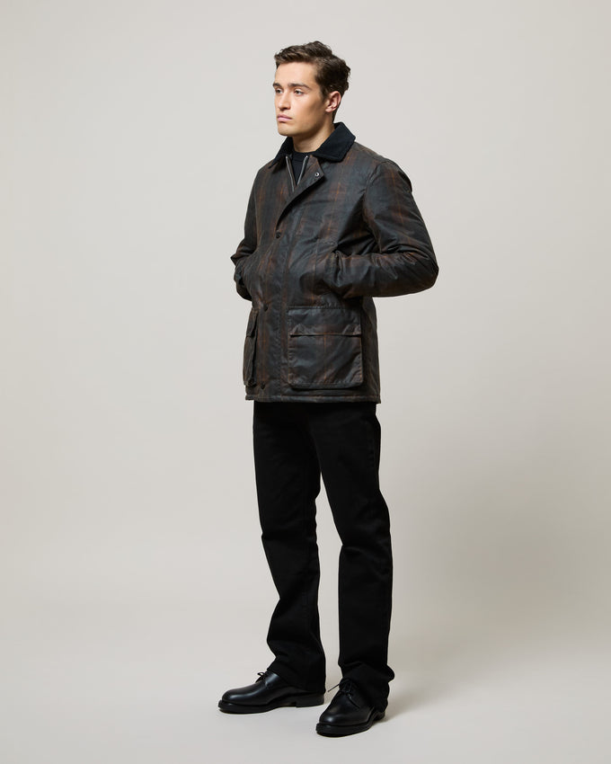 Curtis – Brown Tartan